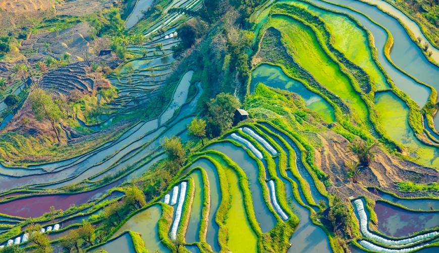 走进翠峦区TVC拍摄：解锁本地化场景与创意镜头的完美融合